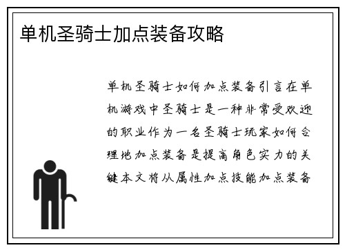 单机圣骑士加点装备攻略